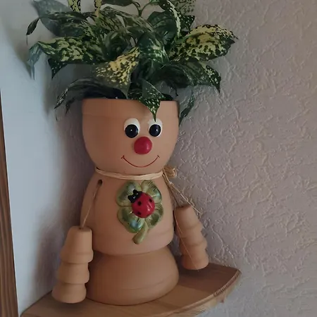 Haus Edelweiss Bed & Breakfast Todtnau