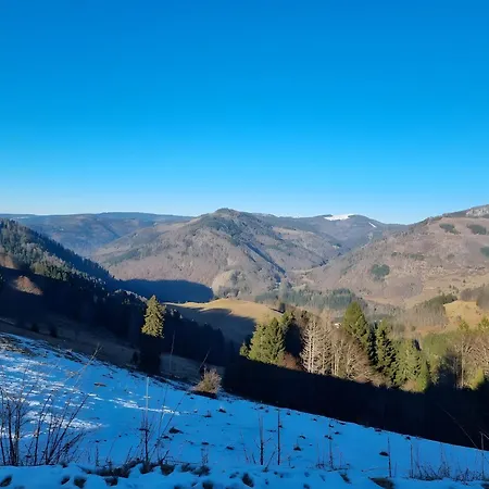 Haus Edelweiss 3* Todtnau