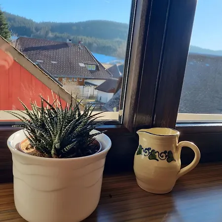 Haus Edelweiss