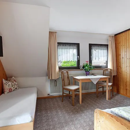Haus Edelweiss 托特瑙