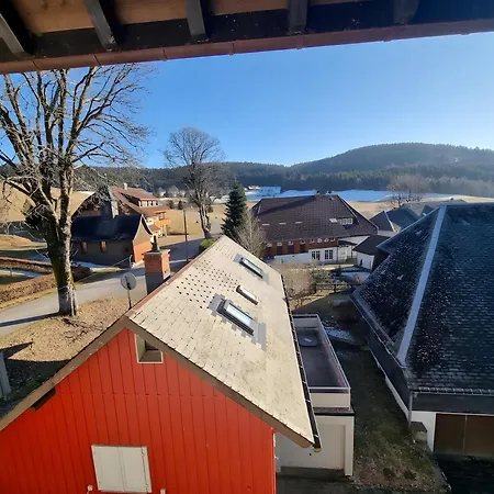 Haus Edelweiss 3* Todtnau