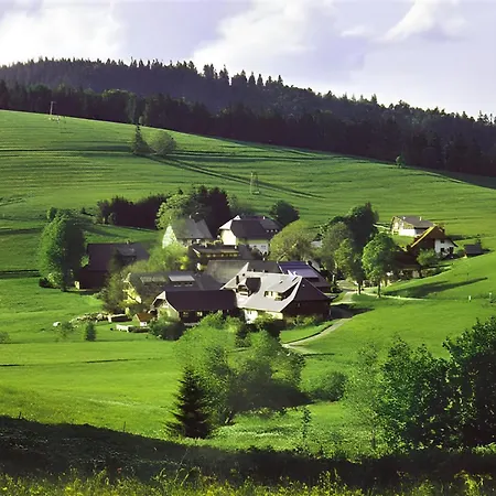 Haus Edelweiss Bed & Breakfast Todtnau